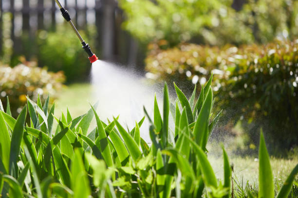 24/7 Emergency Wasp Removal experts in Brown Deer, WI