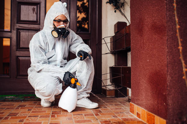 Reliable Wasp Removal contractor in Brown Deer, WI by Show Me Pest Control